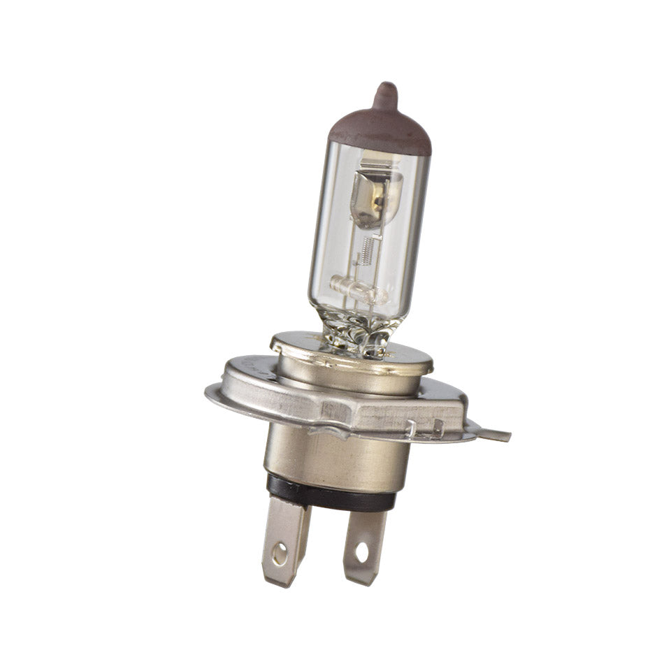 Light bulb H4, 6 V 60/55W