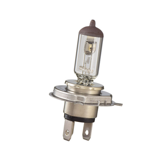 Light bulb H4, 6 V 60/55W