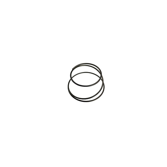 Spring inner cargo door handle