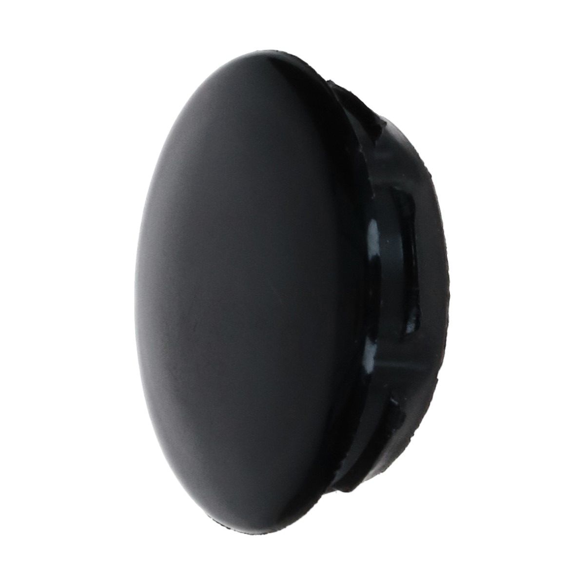 Plug door hinge screw, black