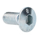 Allen key bolt doorhinge / lock catch