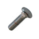 Bumperbolt chrome M8x30 (TQ)