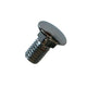 Bumperbolt chrome M8x15 (TQ)
