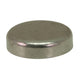 Core Plug for Water Gallery 24mm: T25 (1980-1992), Golf Mk1 (1975-1984), Golf Mk2 (1984-1992)
