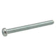 Screw for rear lens 1200 & 1303 4x45z: Beetle (1961-1979), Beetle Cabrio (1961-1979)