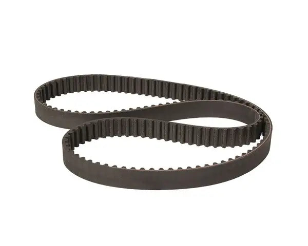 Cam Belt Brazilian Bay (Water-cooled)