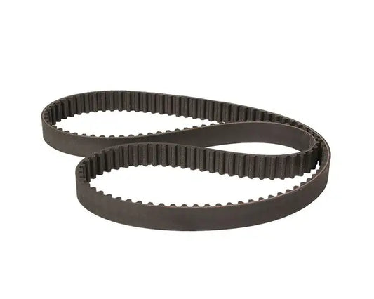 Cam Belt Brazilian Bay (Water-cooled)