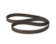 Cam Belt Brazilian Bay (Water-cooled)